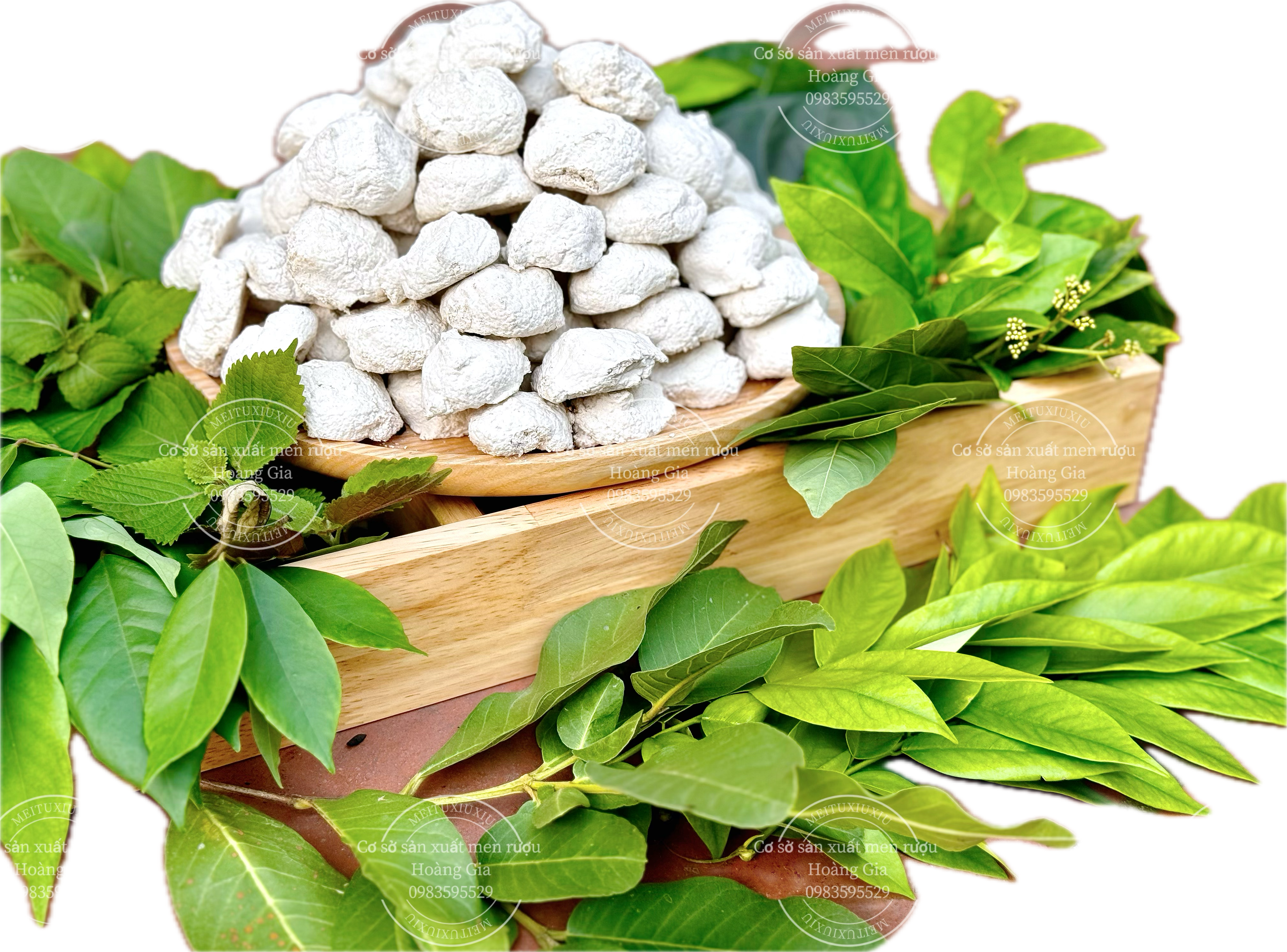 Chủ đề 8