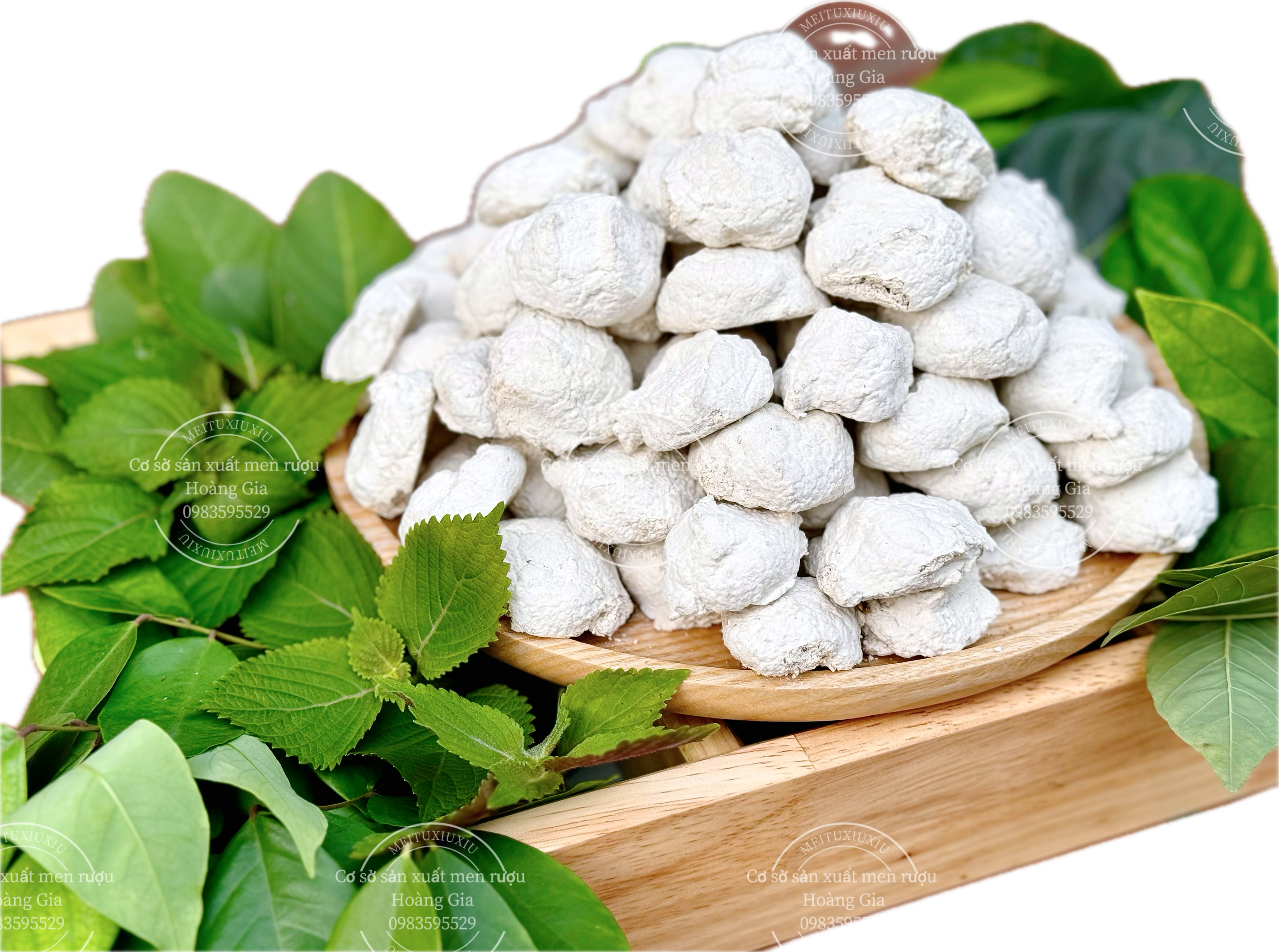 Chủ đề 9